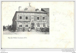 PALISEUL ..-- Hôtel Du Lion D ' Or . 1901 Vers WELLIN ( Melle Renée COVENS ) . Voir Verso . - Paliseul