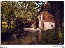 * 11.17 GRIMBERGEN - Liermolen (Rijkenhoek) - Grimbergen