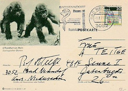 Germany & Circulated, Frankfurt Am Main Zoologischer Garten, Bad Nenndorf 1971 (6868) - Chimpanzees