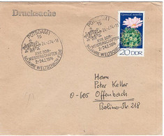 50525 - DDR - 1974 - 20Pfg. Kakteen EF A. DrucksBf. SoStpl. POTSDAM - XXIII. DDR-MEISTERSCHAFTEN ... -> Westdeutschland - Scacchi