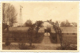 LINT - Klooster Der Dominicanesses Van Bethanië - Moestuin - N'a Pas Circulé - Lint