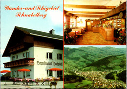 21830 - Niederösterreich - Waidhofen An Der Ybbs , Restaurant Hochpöchl Am Schnabelberg - Waidhofen An Der Ybbs