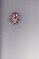 UNITED STATES  --  POUVOIR  --   227 Th  AVIATION REGIMENT UNIT CREST    --  REVERS: P23, MADE IN USA  --  ENAMEL - Other & Unclassified