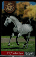 HUNGARY 2003 PHONECARD HORSES USED VF!! - Chevaux