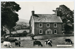 TYTANDDERWEN, BALA - Merionethshire