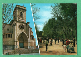 Espana Castilla La Mancha Albacete Catedral Y Parque - Albacete