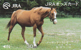 Carte Prépayée JAPON - ANIMAL - CHEVAL  - HORSE JAPAN Prepaid JRA Card - 359 - Cavalli