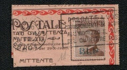 REGNO 1923 B.L.P.40 C. SU FRAMMENTO USATO FIRMATO A. DIENA - Used
