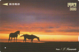 Carte Prépayée JAPON - ANIMAL - CHEVAL - HORSE & SUNSET JAPAN Prepaid Kansai Lagare Transport Ticket Card - 387 - Chevaux
