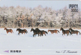 Carte Prépayée JAPON - ANIMAL - CHEVAL Chevaux - HORSE JAPAN Prepaid Kansai Lagare Ticket Card - 391 - Paarden