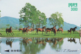 Carte Prépayée JAPON - ANIMAL - CHEVAL Chevaux - HORSE JAPAN Prepaid Kansai Lagare Ticket Card - 393 - Cavalli