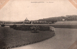 Hippisme - Maisons-Lafitte, La Pelouse De L'Hippodrome, Les Tribunes - Carte Non Circulée - Horse Show