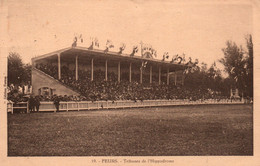 Hippisme - Feurs (Loire) Les Tribunes De L'Hippodrome - Edition Forum - Carte N° 19 - Horse Show