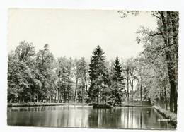 AK 014755 FRANCE - Senoes-en-Salm - Les Etangs Du Chateau - Senones