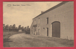 Haut-Bois -  Maison " L"Elan "  ( Voir Verso ) - Gesves