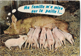 ANIMAUX - COCHON - Ma Famille M'a Mise Sur La Paille !... - Cochons