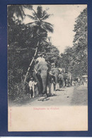 CPA éléphant Non Circulé Ceylan Asie Ceylon - Olifanten