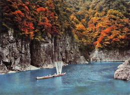 JAPAN - YOSHINO KUMANO NATIONAL PARK / P126 - Andere & Zonder Classificatie