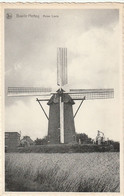 Baarle-Hertog : Molen Loots - Baarle-Hertog