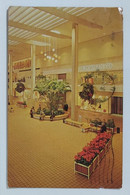 08684 Post Card - Rochester - Shopping Centre - New York - U.S.A. - 1965 - Rochester