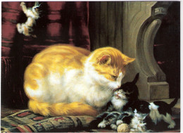 5 Chats  -mother With 4 Kittens -katzen - Poesjes- - Katzen