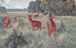 GEMÄLDE REHE 1958 / P148 - Autres & Non Classés