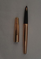 Penna Stilografica PARKER - Stylos