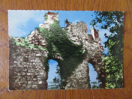 Saint Quentin Fallavier  ( Isère )   Ruines Du Château Féodal - Otros Municipios