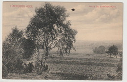 Lüneburger Heide - Lüneburger Heide