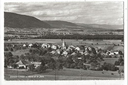 Essertines-sur-Rolle (Suisse, Vaud) : Panorama En 1970 PF. - Rolle