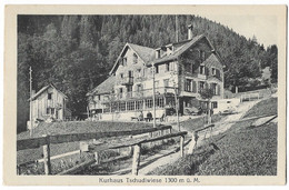 FLUMSERBERGE: Kurhaus Tschudiwiese ~1910 - Berg