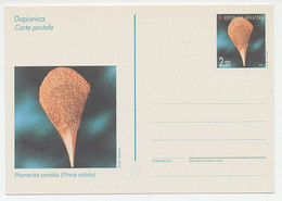 Postal Stationery Croatia 1997 Shell - Mussel - Pinna Nobilis - Mundo Aquatico