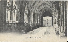 SAINT DIE - Allée Du Cloitre - Saint Die