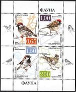 BULGARIA / BULGARIE - 2017 - Moineaux - Passeri - Pf - Sparrows