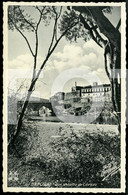 Delcampe - OLD POSTCARD BARCELOS BARCELLOS MINHO PORTUGAL CARTE POSTALE - Braga