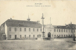 SAINT DIE - L'Hôpital Et Fontaine De La Meurthe - Saint Die