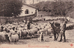 Départ Pour La Montagne (pays Basque) CPA Non Circulée - Personnages