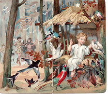 Image Pieuse Gaufrée 2 Volets  " Le Noël Des Oiseaux   " - Imágenes Religiosas