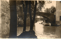 - 83 - SOLLIES-PONT (Var) - Vue De Solliès-Pont - Carte Photo De Jean Verez - Scan Verso - - Sollies Pont