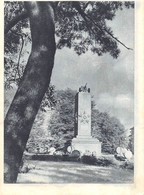 ¤¤    -   LITUANIE    -    KLAIPEDA   -    Monument De La Victoire      -   ¤¤ - Lithuania