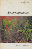 Gerhard BRÜNNER - Aquariumplanten - Sachbücher