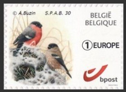 DUOSTAMP** / MY STAMP** - Bouvreuil / Goudvink / Gimpel / Bullfinch / Pyrrhula Pyrrhula - BUZIN - Private Stamps