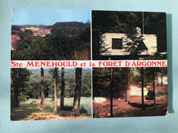 Ste MENEHOULD Et La FORET D’ARGONNE — Multivues - Sainte-Menehould