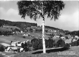 WOLFHALDEN → Mit Schönenbühl - Lippenreute, Fotokarte Ca.1945 - Other & Unclassified