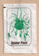 US.- Suikerzakje. SPIDER PLANT. CHIOROPHYTUM COMOSUM. NUGGET DIST. INC. STOCKTON, CA. Zucker Azucar Sucre. Zucchero - Zucker