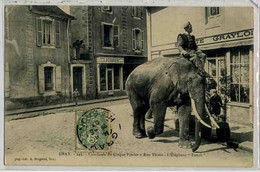 GRAY Cirque Pinder, Elephant "punch" Rue Thiers, Rare - Gray