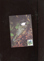 Belgie Buzin Vogels Birds 2804 Maximumkaart GEKLEURD Jodoigne - 1991-2000