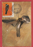 Carte Maximum Hirondelles - République Du Burundi - Premier Jour 1970 - Swallows