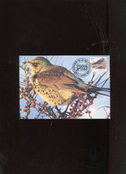 Belgie Buzin Vogels Birds 2792 Maximumkaart Veeweyde Bruxelles 1e DAG - 1991-2000