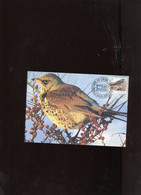 Belgie Buzin Vogels Birds 2792 Maximumkaart Veeweyde Brussel 1e DAG - 1991-2000